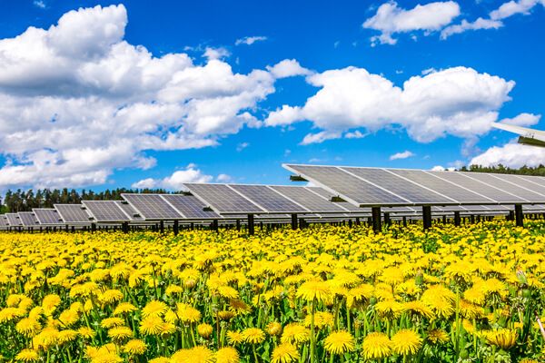 Wie grün ist eine Solaranlage tatsächlich?